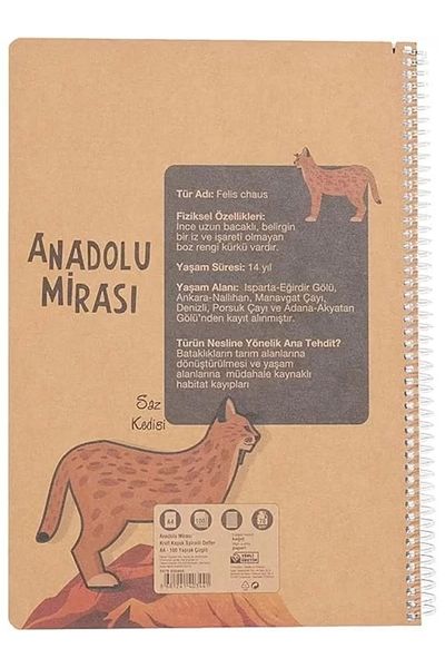 Mu Art Ahşap Caiet Faber-Castell Moștenirea Anadolu, A4, 100 coli, hârtie 70G, cu linii, 500 microni Pp