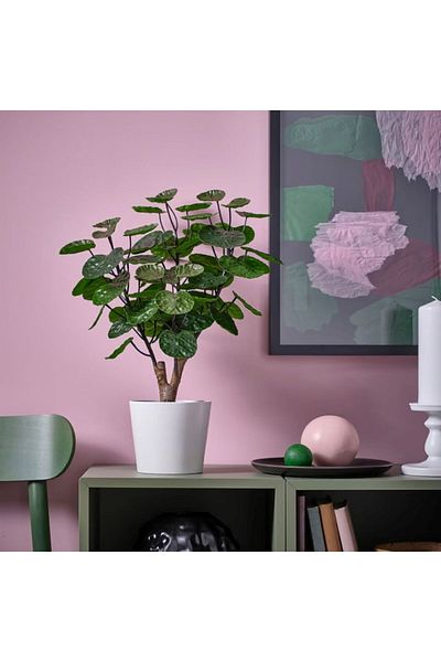 IKEA Artificial Potted Plant, Indoor/Outdoor Aralia, 53 x 12 cm