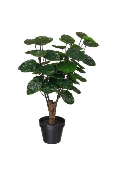 IKEA Artificial Potted Plant, Indoor/Outdoor Aralia, 53 x 12 cm