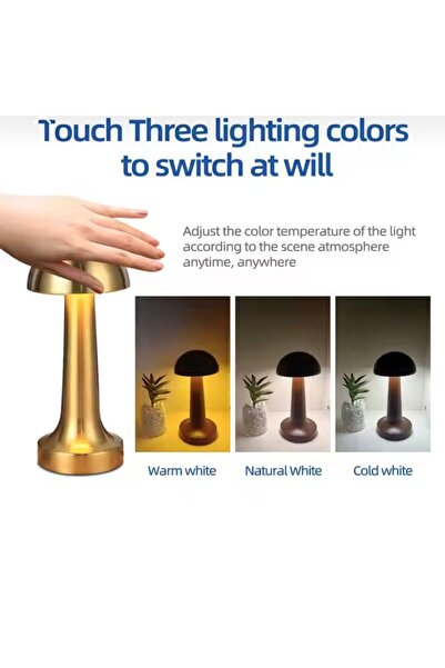 CEZVE HOME Dokunmatik Şrjlı 3 Kademeli Işıklı Gece Lambası Usb Girişli Metal Mantar Gece Lambası