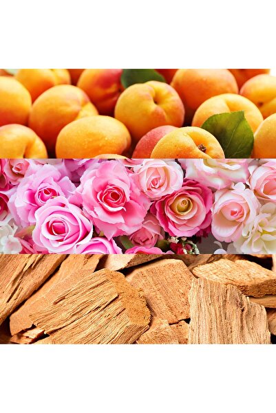 Calvin Klein Escape for Women Eau de Parfum 50 ml