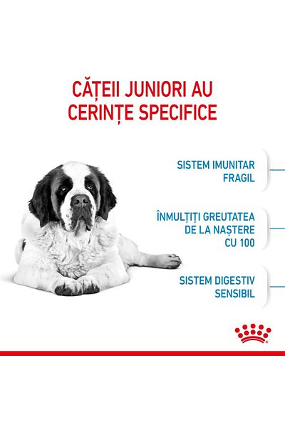 Royal Canin Giant Junior Dry Food For Junior Dogs, Growth Stage 2, 3.5 Kg