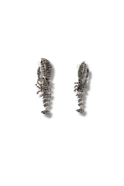 Finery by Nerrs Zr Model Glitter Lobster Earrings