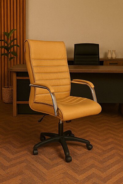 sadık ofis Staryo Camel Bilgisayar Koltuğu – Ergonomik Bel Destekli, Ayarlana...
