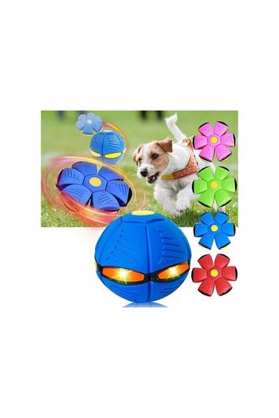 ForWhat Light up Bouncing Frisbee Cat Dog Ball for Bureau Home Office Pet Pet