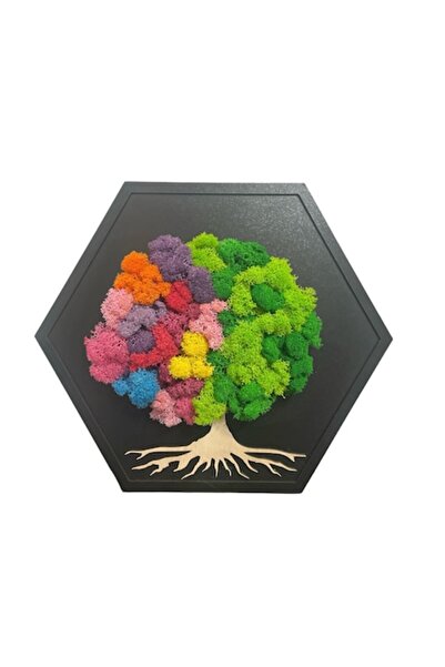 ALVAL Tablou hexagonal cu licheni stabilizați, multicolor, 30 cm, ramă neagră