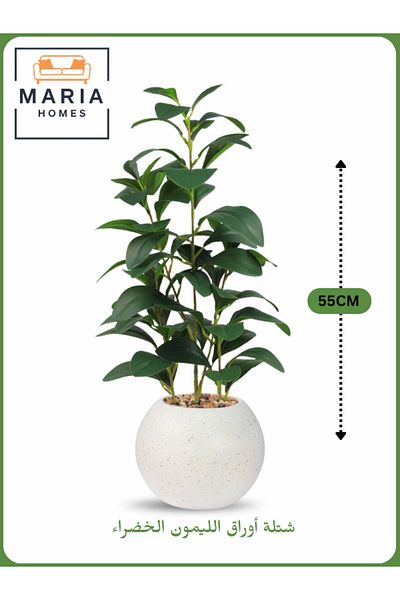 MARIA HOMES Artificial Lemon Leaf Plant 55 cm – Decorative Indoor Greenery with White with yellow dots Pot