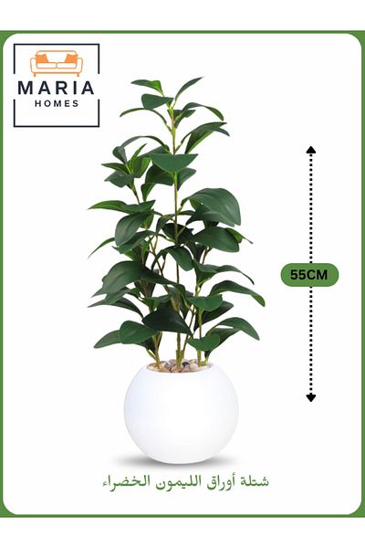 MARIA HOMES Artificial Lemon Leaf Plant 55 cm – Decorative Indoor Greenery with White Pot
