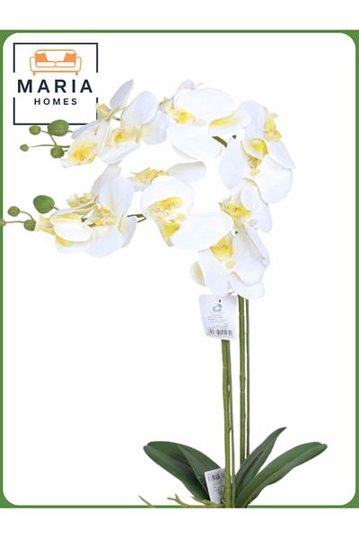 MARIA HOMES White Artificial Orchid in Gold Pot – 60cm Decorative Plant with 2 Branches