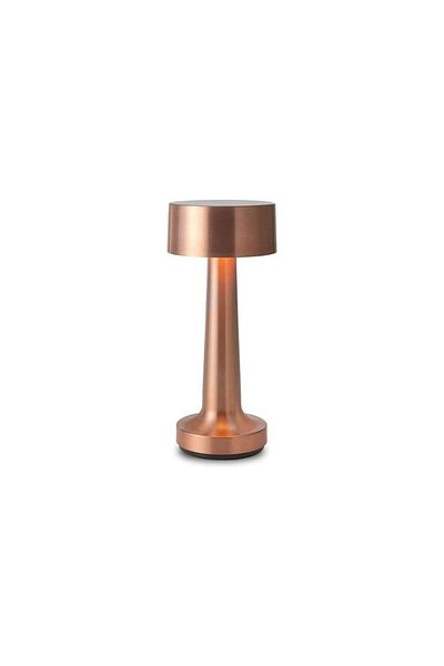 ETRONIK Modern Rechargeable Cordless Touch Sensor LED Desk lamp 3 Ways Dimming,(ROSE GOLD)
