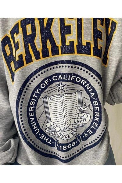 Boi Γυναικείο Seatshirt με στάμπα Berkeley σε γκρι χρώμα