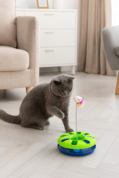 ego home Çıngarak Toplu Yaylı Fareli Kedi Çember Oyuncağı Kedi Eğlence Aksesuarı Kedi Oyun Çemberi
