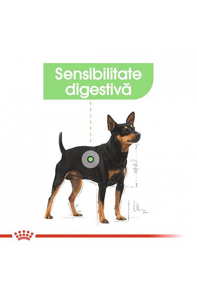 Royal Canin Hrană uscată pentru câini Royal Canin Mini Digestive Care pentru confort digestiv, 3 kg