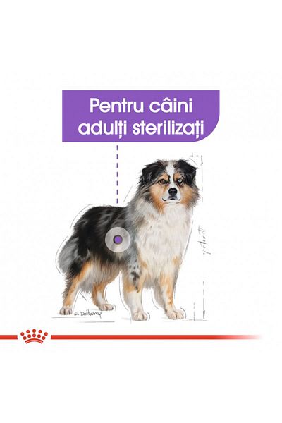 Royal Canin Medium Sterilised Adult dry food for medium-sized sterilized dogs, 3 kg