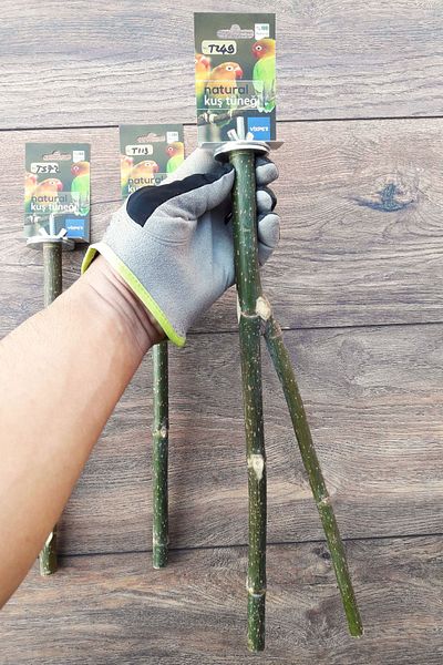 Vixpet Venty 3-Piece Natural Parrot Perch Set | Budgerigar, Lovebird, Forpus, Paradise, Kakariki - M514