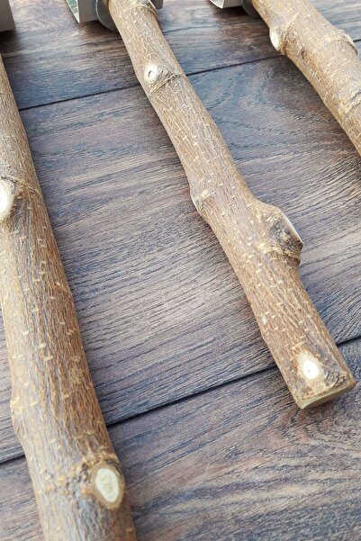 Vixpet Venty 3-Piece Natural Parrot Perch Set | Jako, Amazon, Eclectus, Kayak, Alexander, Conure - M512