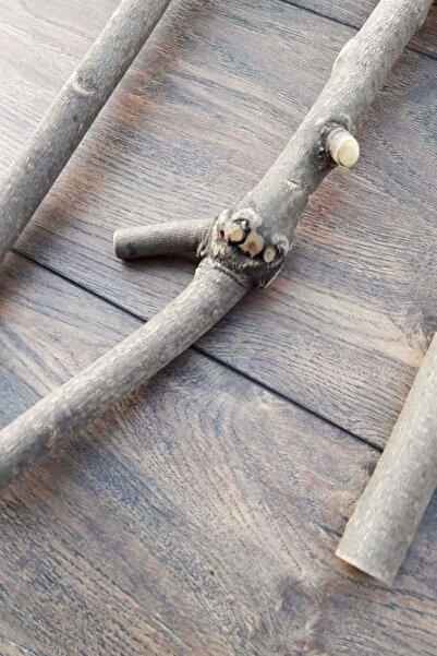 Vixpet Venty 3-Piece Natural Parrot Perch Set | Sultan, Monk, Konur, Lori, Senegal, Jumbo Muhabbet - M521