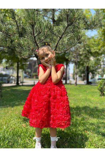 Minizade Baby Girl Kid's Short Sleeve Rose Back Detail Bow Special Occasion Birthday Party Wedding Dress