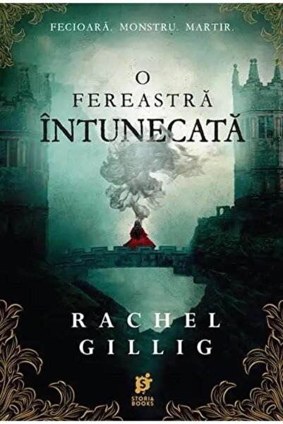 Editura Storia Books O fereastra intunecata, Rachel Gillig