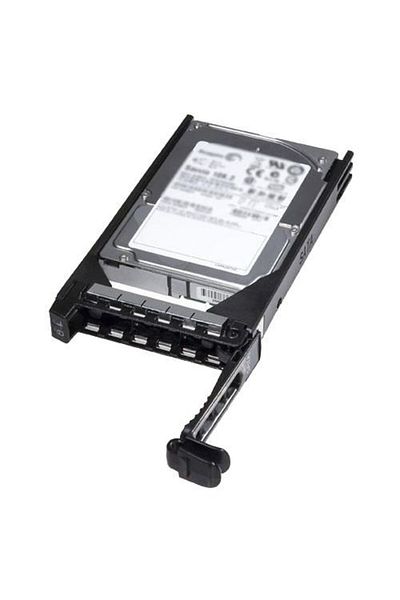 Dell 2TB 7.2K Near Line 6Gbps SAS, 829T8