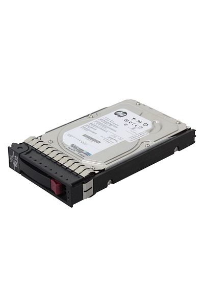 HP Enterprise 750GB 3.5" SATA, NCQ, 432401-002