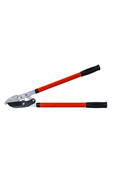 Z-Tools Ρυθμιζόμενα ψαλίδια δέντρων, 60-90 cm, ανθρακούχος χάλυβας / ZLN 0818