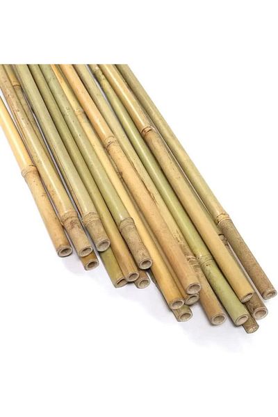 genric FFD Natural Bamboo Sticks for Plant Support (60 cm) - 10 Pieces Bamboo Stakes Poles