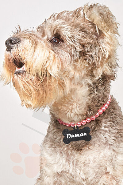 Petella Pembe İncili İsimli Köpek Tasması İsimli Köpek Kolyesi