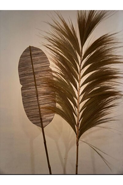 Bambu Bahcem BAMBU PAMPAS PÜSKÜL SAÇAK DEKORATİF VAZO DUVAR EV OFİS SÜSÜ, BOH...