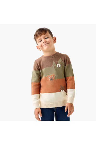 Juniors Colourblock Crew Neck Jumper with Long Sleeves