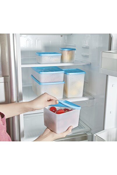 Online Home Market Alaska Deep Freezer Storage Container Set of 6 (380ml, 650ml, 1,1Lt, 1,85Lt, 2,0Lt, 3,5Lt)