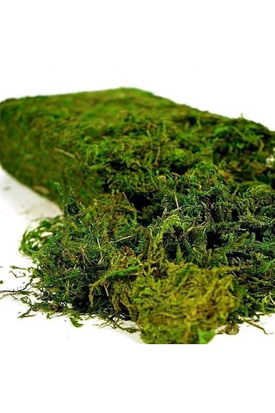 genric FFD 400g Artificial Moss Green Grass for Centerpieces, Home & Garden Decor – Decorative Faux Moss
