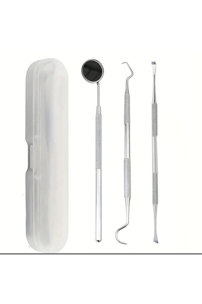 Beauty Box Steril Kutuda Diş Temizleme Aletleri Diş Çöpü Seti Paslanmaz Çelik