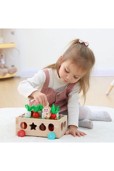 Picodino Masinuta cu morcovi pentru motricitate, sortator forme fructe si pescuit magnetic Carrot Orchard