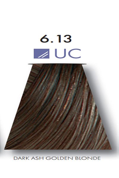 Keune 2 packs of Tinta Color No. 6.13 Dark Ash Golden Blonde (UC) hair dye containing silk protein