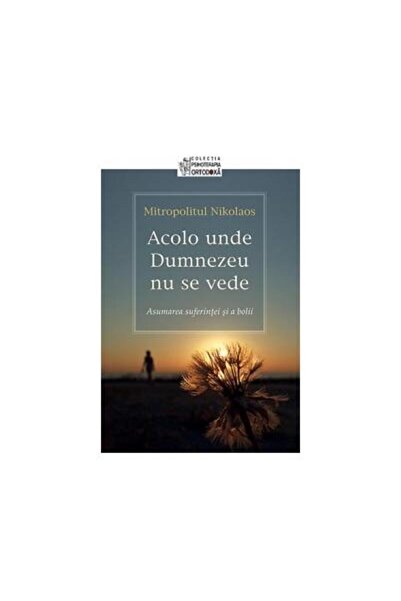 Editura Sophia Acolo unde Dumnezeu nu se vede. Asumarea suferinte