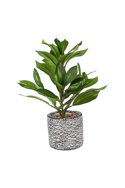 OEM Ghiveci ceramic cu plantă ornamentală din plastic, 15x28 cm, multicolor, M1