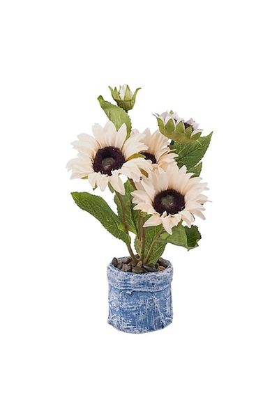OEM Ghiveci cu crizanteme, 15x25 cm, ceramica si plastic, alb unt-multicolor