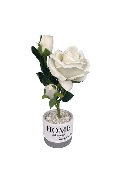 OEM Ceramic Pot with Plastic Rose, 'Home' Text, M3, 10x29 cm