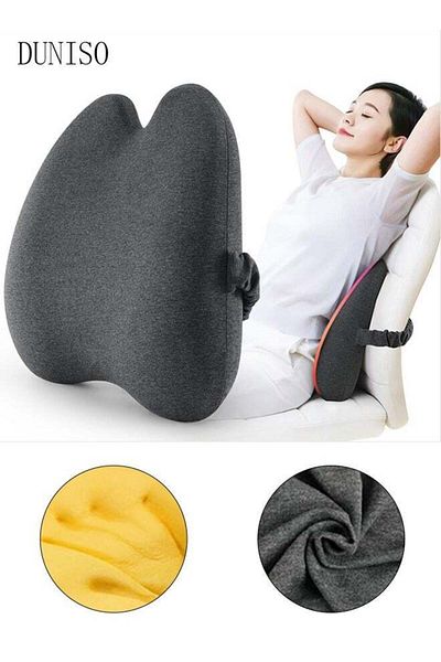 fun zone DUNISO Lumbar Support Pillow for Office Chair Back Support Pillow for Car, Computer, Gaming Chair, R