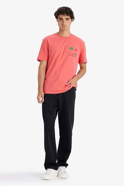 DeFacto 100% Cotton Regular Fit Crew Neck Printed Short Sleeve T-Shirt F8543Ax25Hs