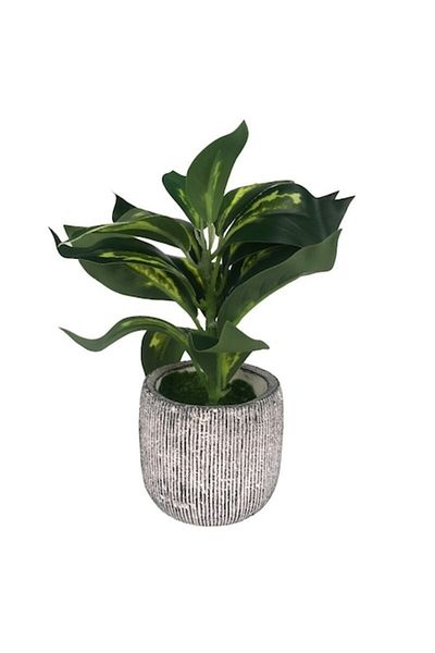 OEM Ghiveci ceramic cu frunze mari de plastic, M1, 13x19 cm