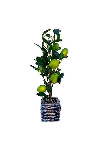 OEM Ceramic Pot with Lime, 10x42cm