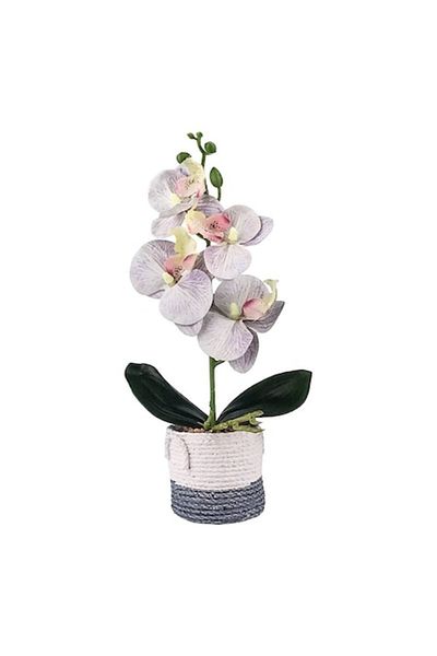 OEM Ceramic Pot with Plastic Bonsai, 10x30 cm, Multicolor M5