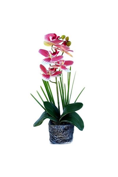 OEM Ghiveci ceramic cu orhidee din plastic 40 cm