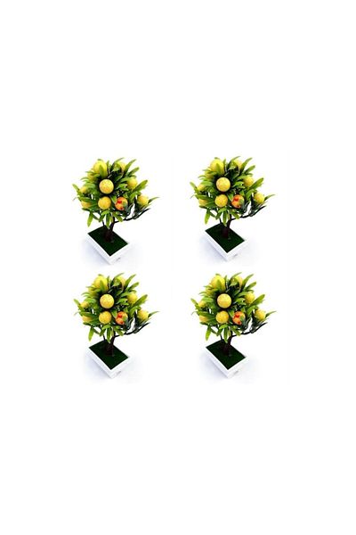 OEM Set 4 ghivece din plastic cu pomisor cu fructe, M4, 12x24 cm
