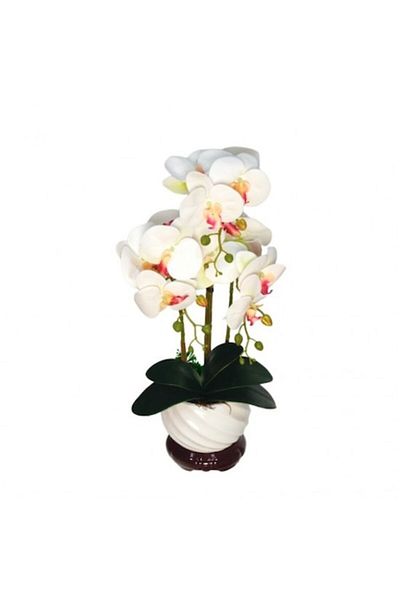 OEM Artificial Orchid in Pot, PVC/Ceramic 50x14x14 cm White