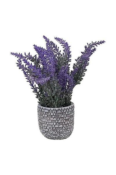 OEM Lemn de lavandă, 10x20 cm, violet-multicolor, ceramică și plastic, M2