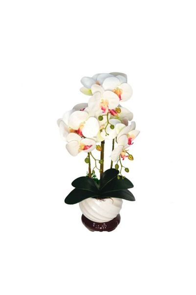 OEM Artificial Orchid in Pot, PVC/Ceramic 50x14x14 cm White