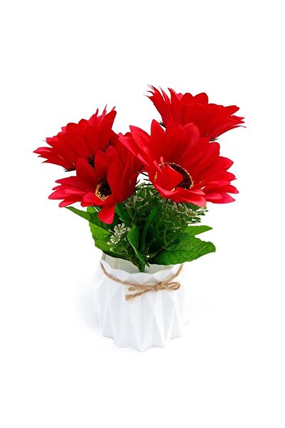 OEM Set 4 ghivece din plastic in forma de punga de cadou cu crizanteme, rosu, 12x24 cm